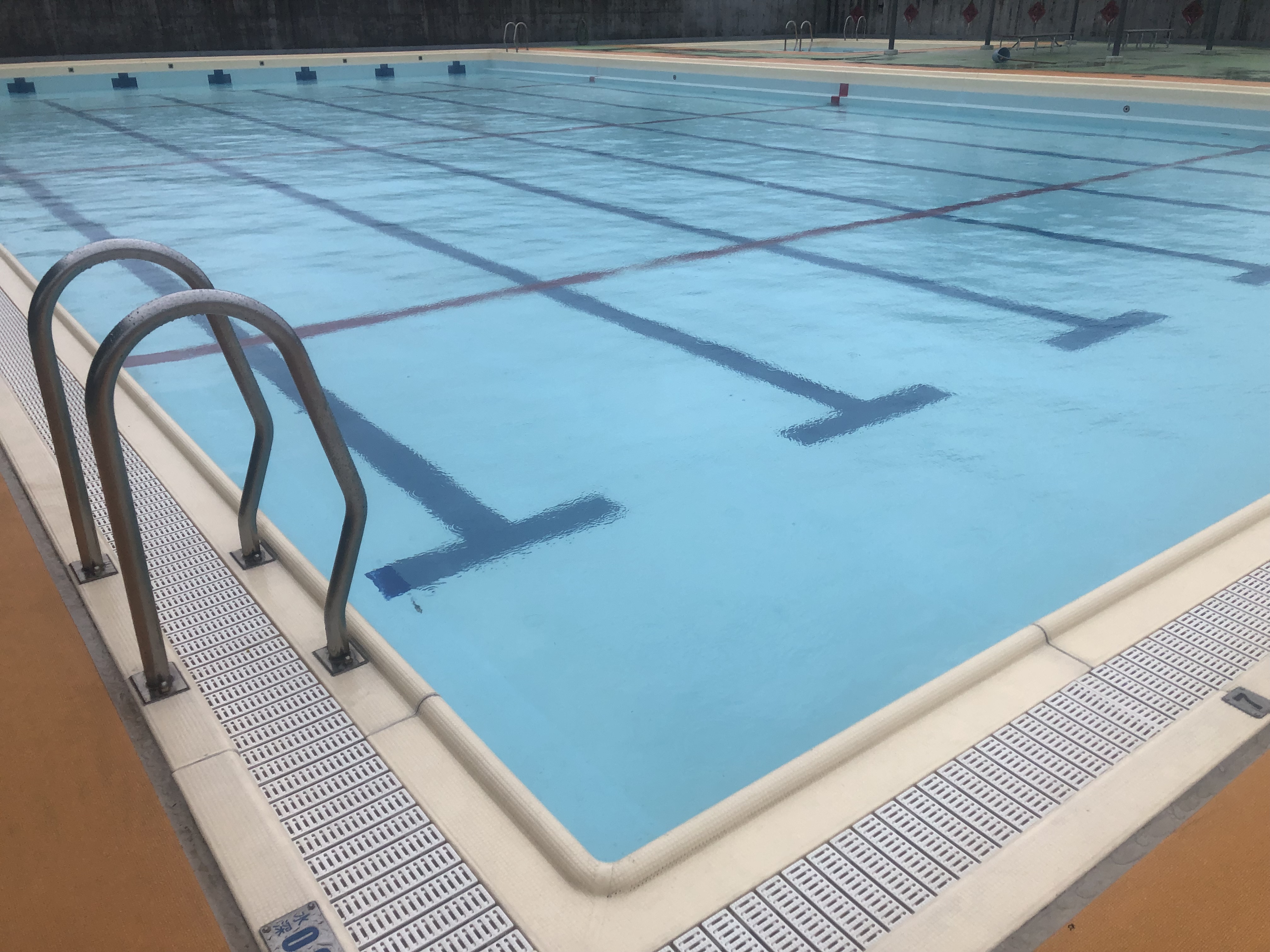 Case study: Swimming Pool Cleanup as Eco-Education