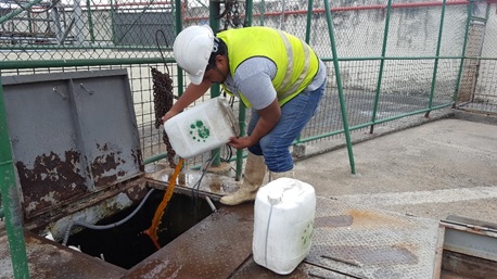 After 3 weeks, the staff do not use masks anymore due to the odors control