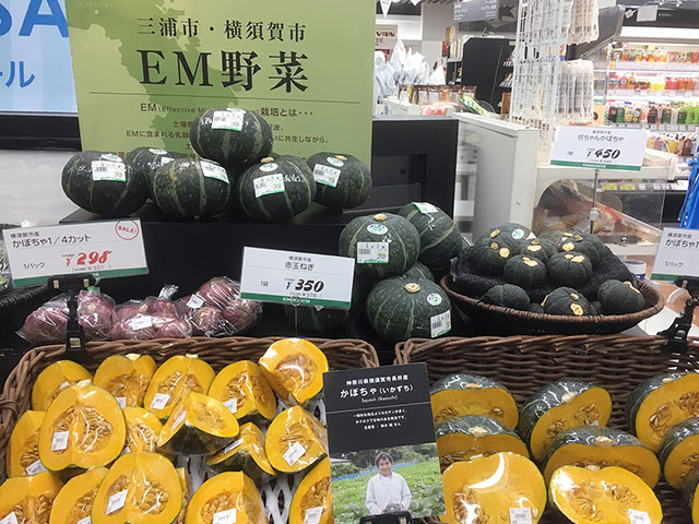 Pumpkins by popular demand at Kinokuniya