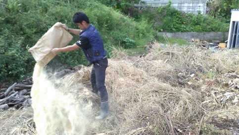 Applying rice bran