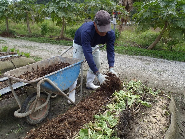 Nursing soil