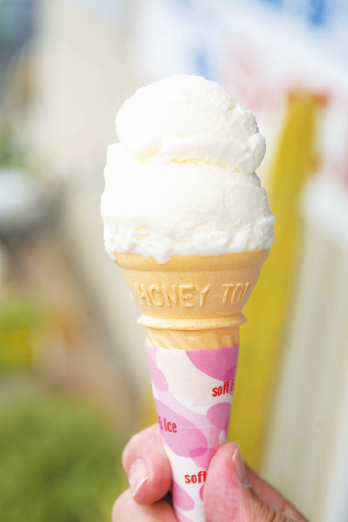 EM Ice Cream 