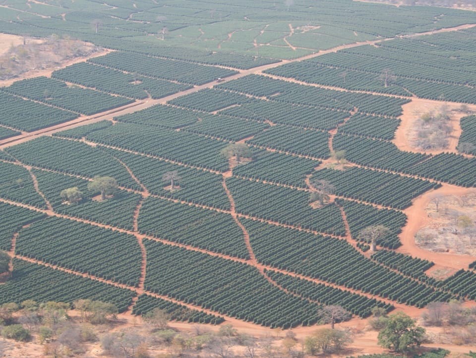 Aerial view of the farm