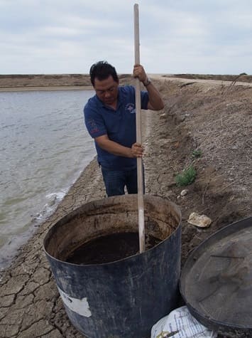 Mixing chicken manure and AEM