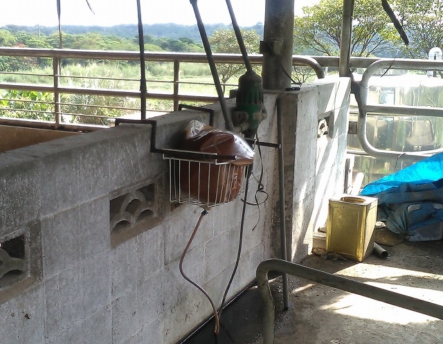 Activated EM・1 container connected to the drink water pipes. The water drips automatically.