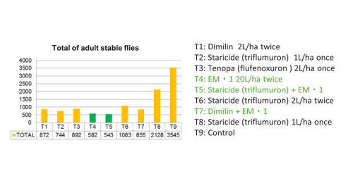 Comparing the incidence of flies using chemicals vs EM・1