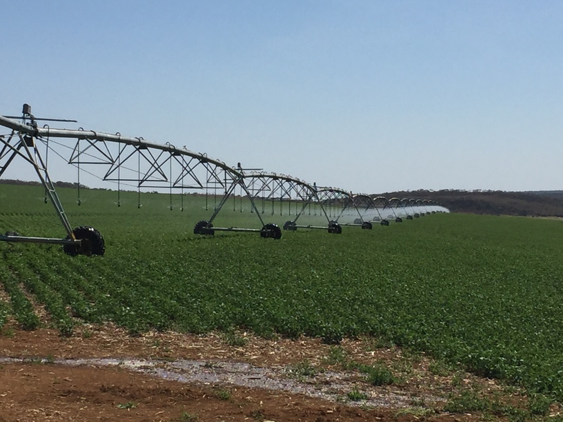 (Photo 1)
Pivot farming irrigation system