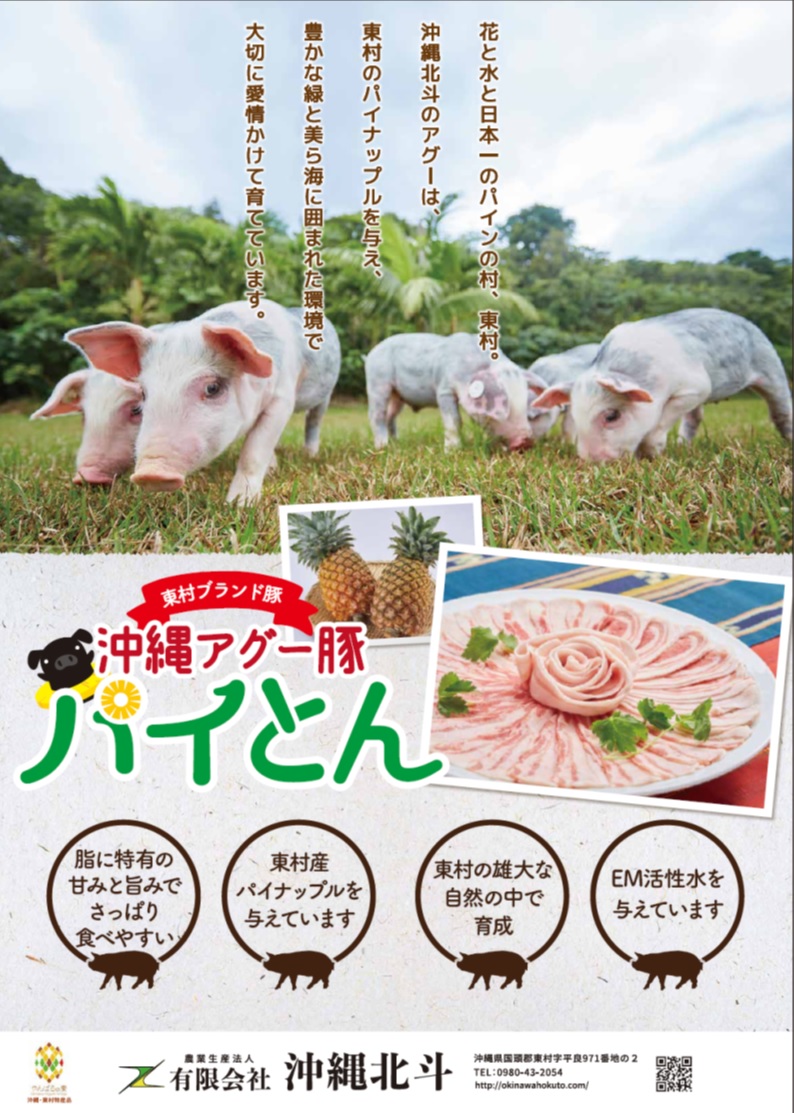The leaflet of Okinawa Hokuto Ltd's brand pork, "Pai Ton." 