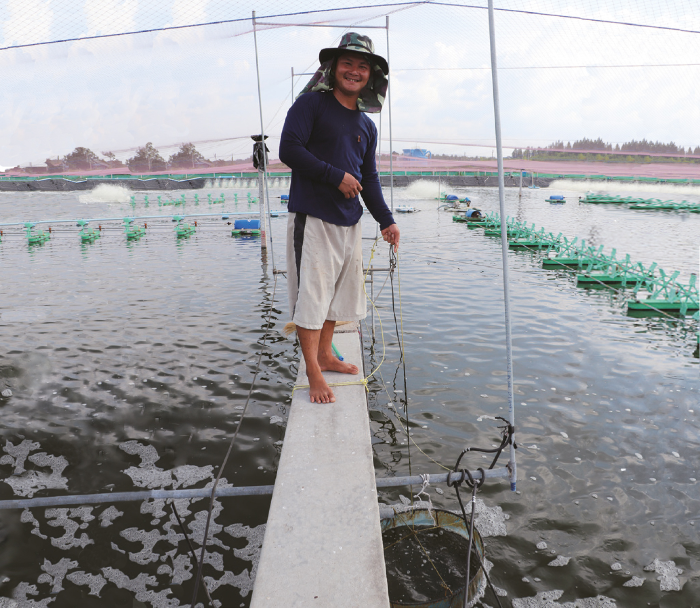 Staff sampling healthy shrimps