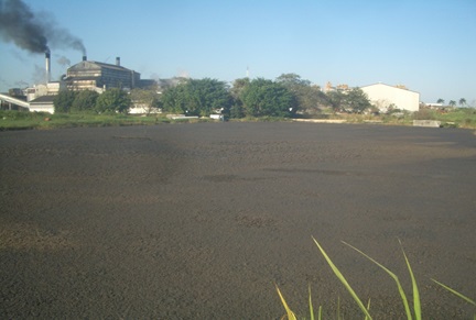 Wastewater treatment Pond before EM