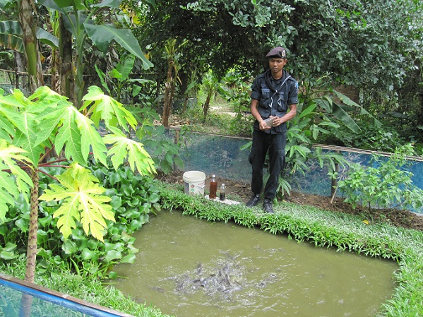 Training for growing catfish with EM, support  farmers for self reliance   
