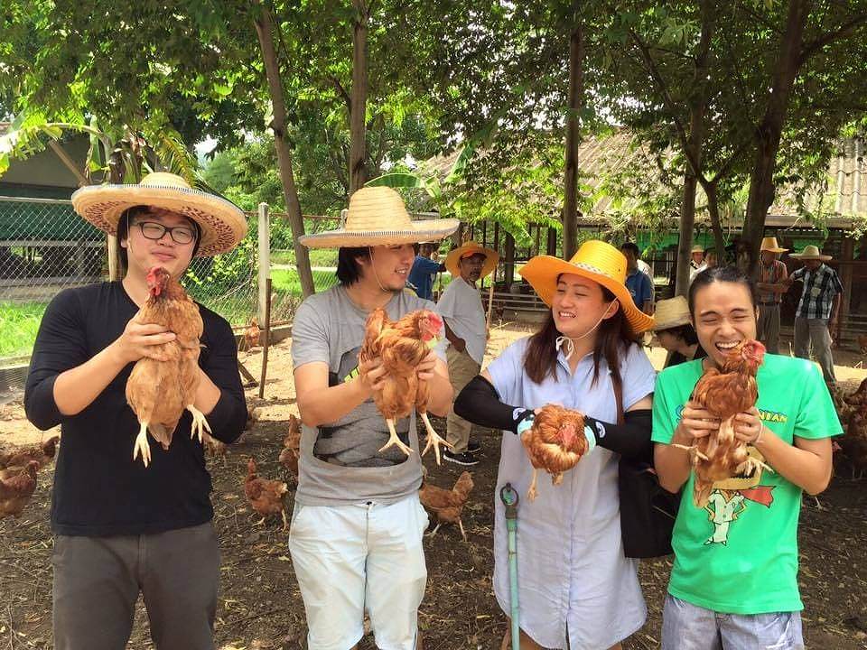 Trainees have the opportunity of feed the chicken directly