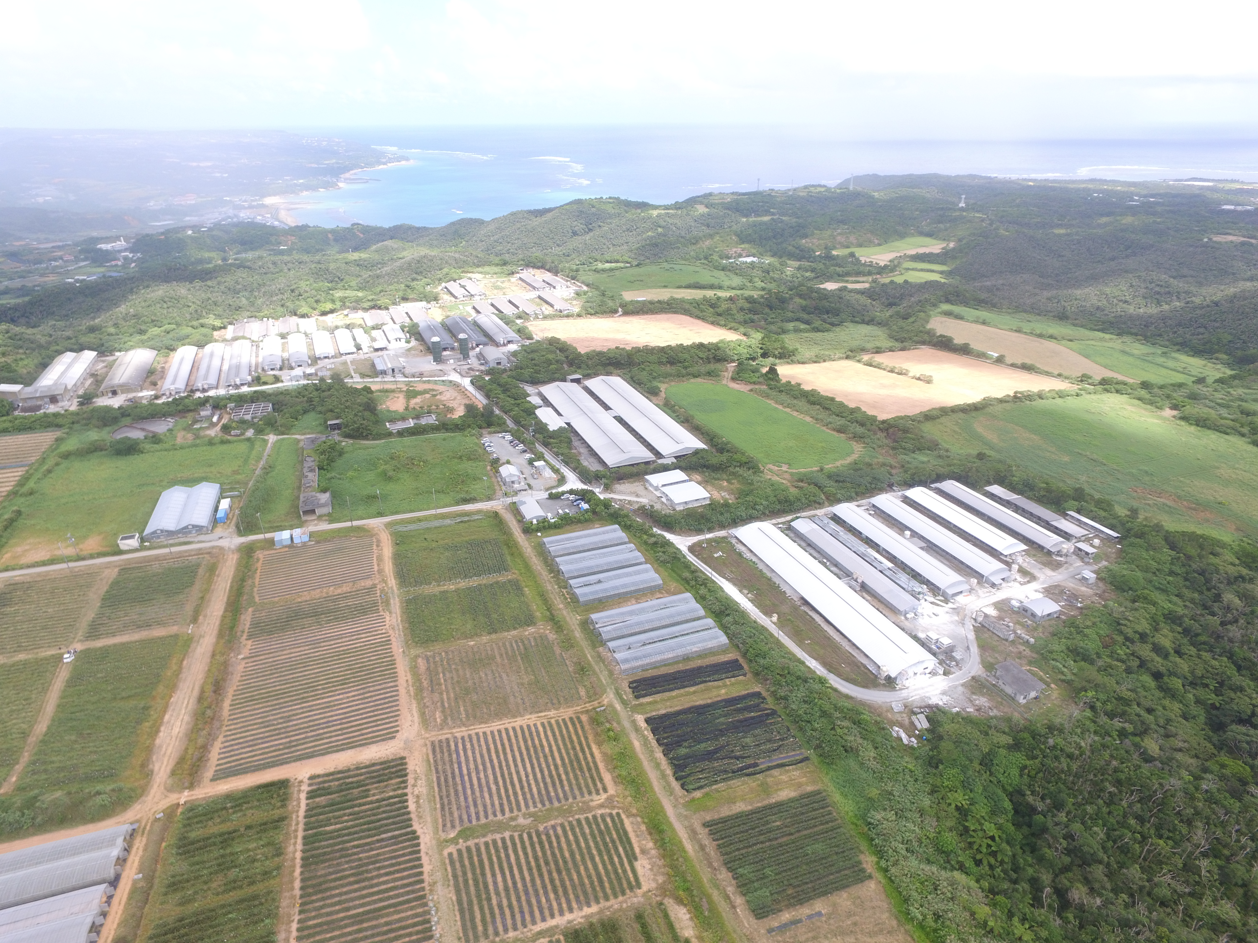 Arial view of the farm