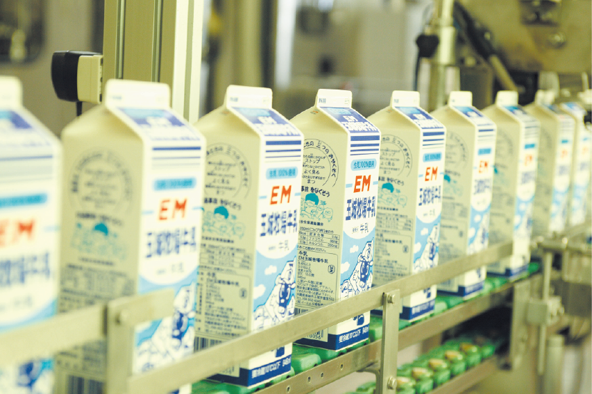 Fresh EM milk being packed