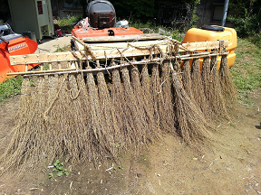 Instead of herbicides, a handmade weeding machine is used to control weeds like monochoria vaginalis.