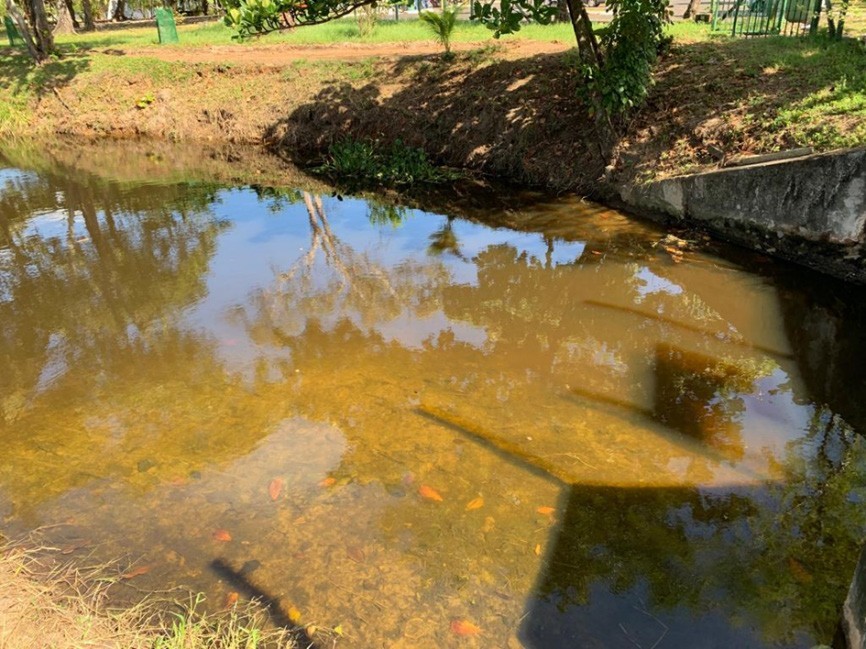 The water is clear and the bottom is visible