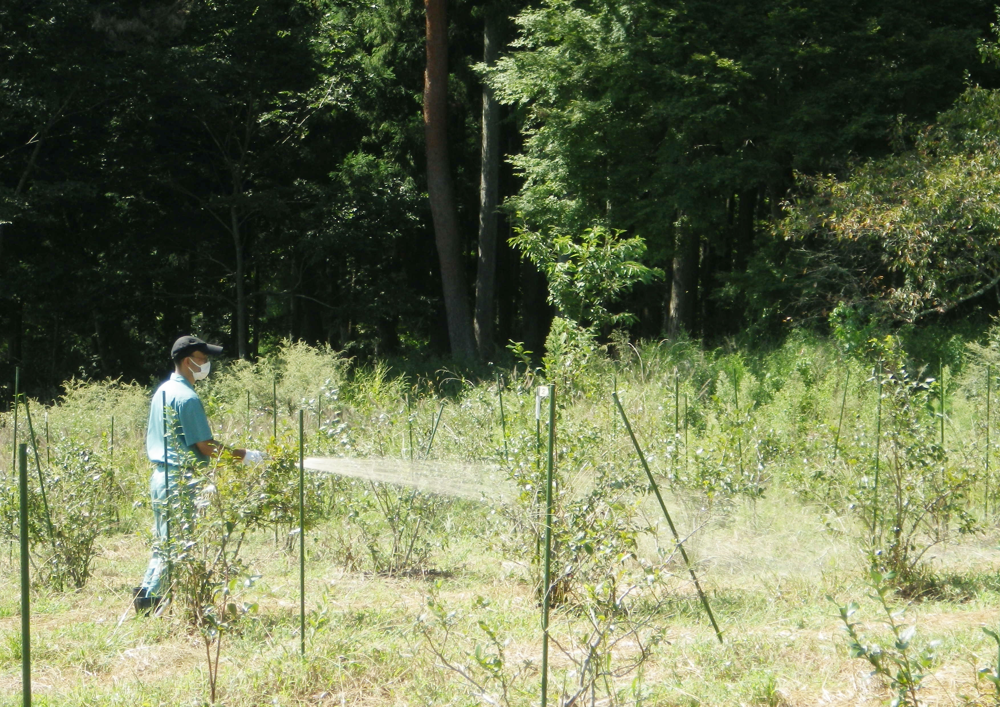 Suzuki Farm will never change its sustainable mind