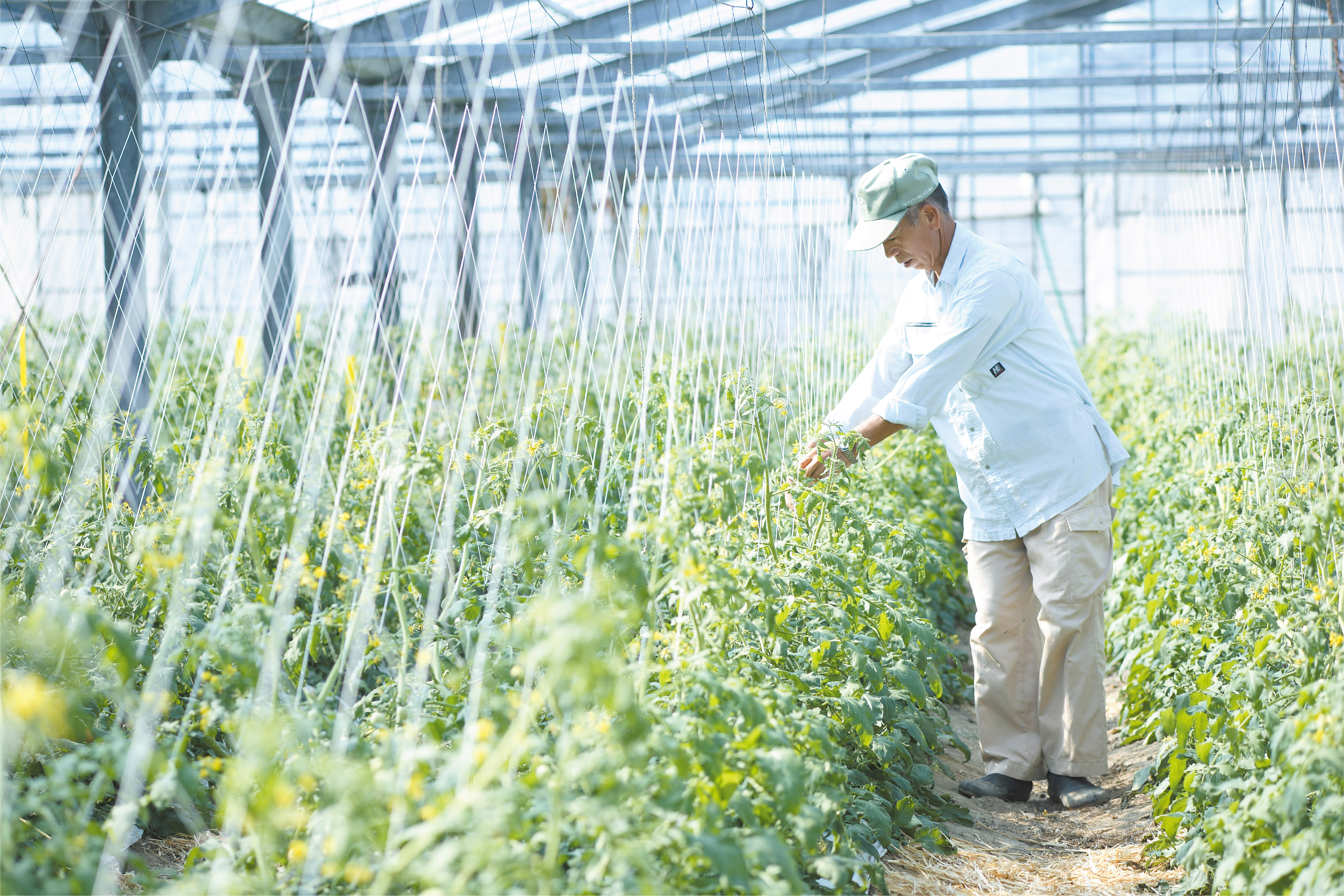 Suzuki Farm will never change its sustainable mind