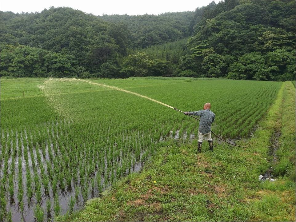 Yoshichiku EM Pork, Pursuing the Safety of Customers