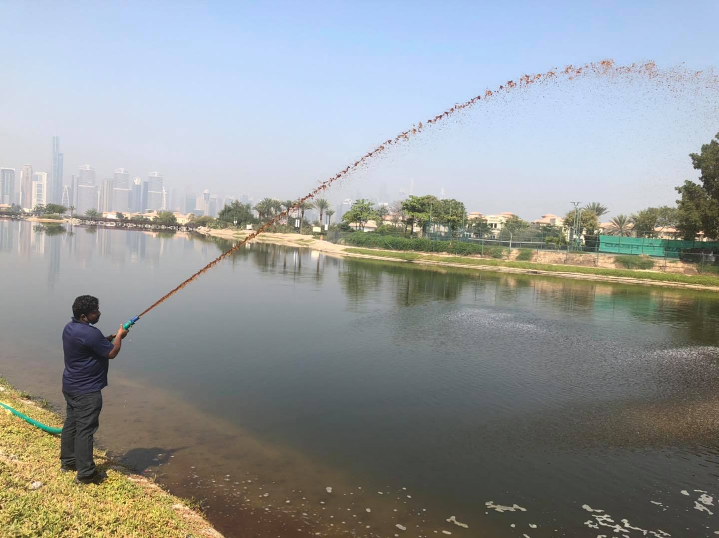 Clean and clear water around the housing complex