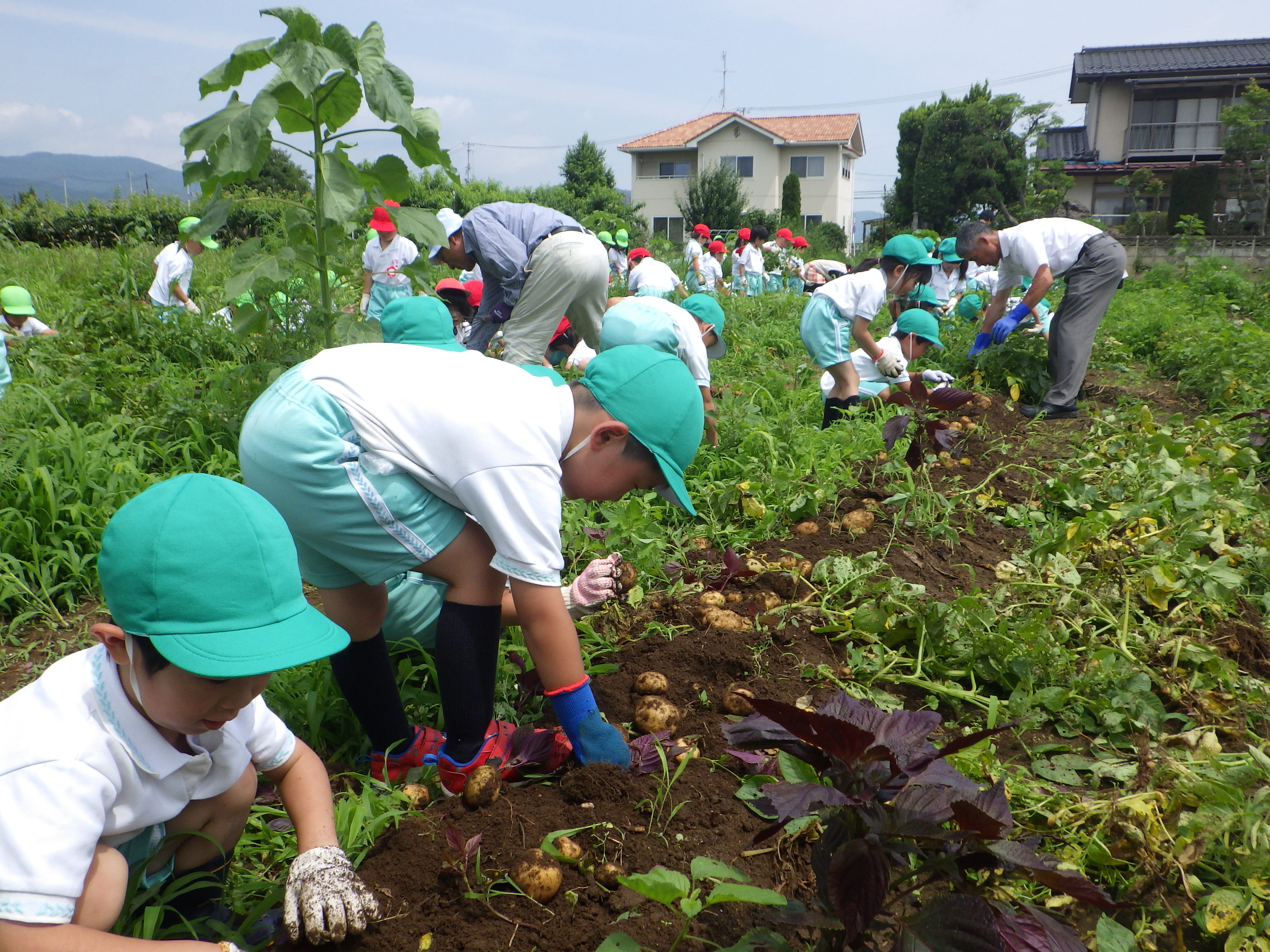 Toward a recycling-oriented society with a community-based biomass center
