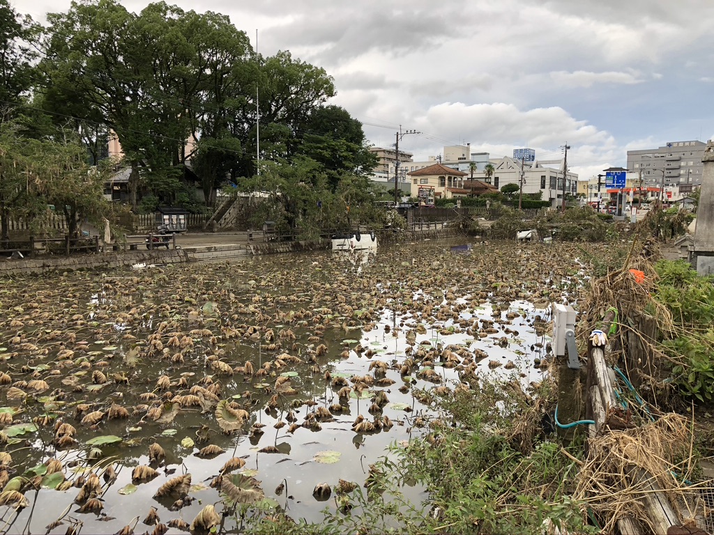 Flood relief supply for cleaning