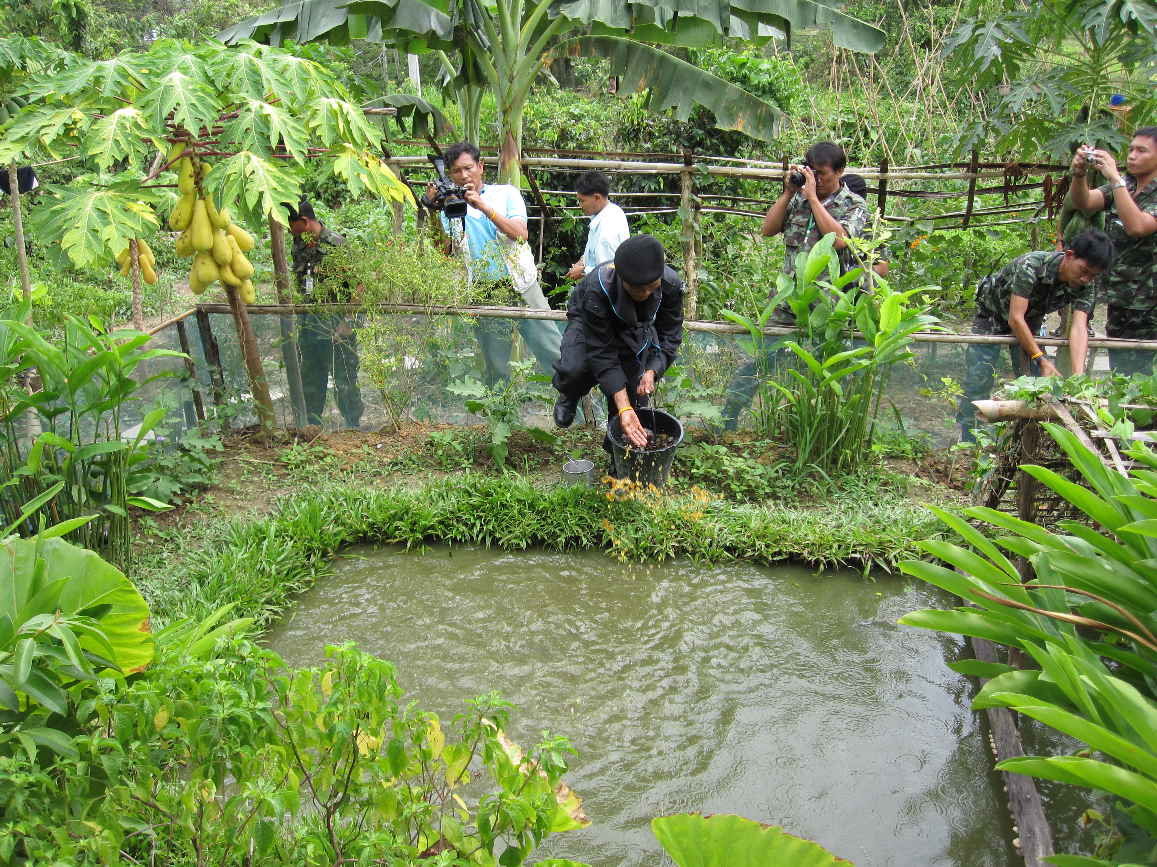 Toward a recycling-oriented society with a community-based biomass center
