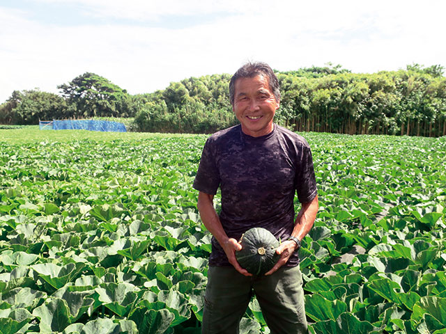 Tropical Fruits on soil with salt damage