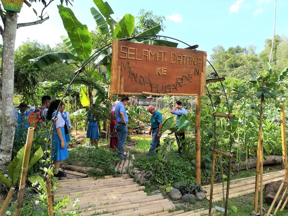 Tropical Fruits on soil with salt damage