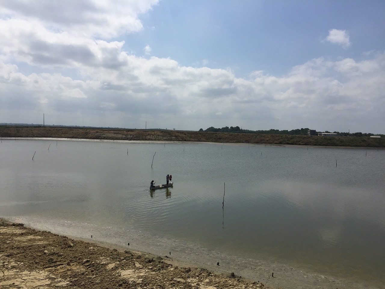 Fish Coming Back to the River