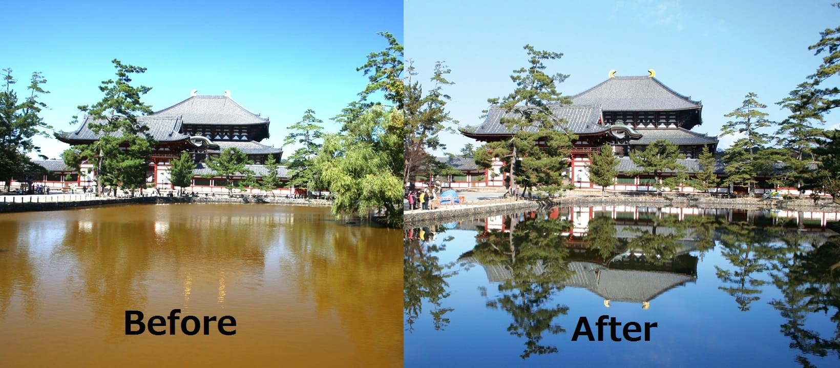 Travels on Green Cleaning Japan's Bullet Train