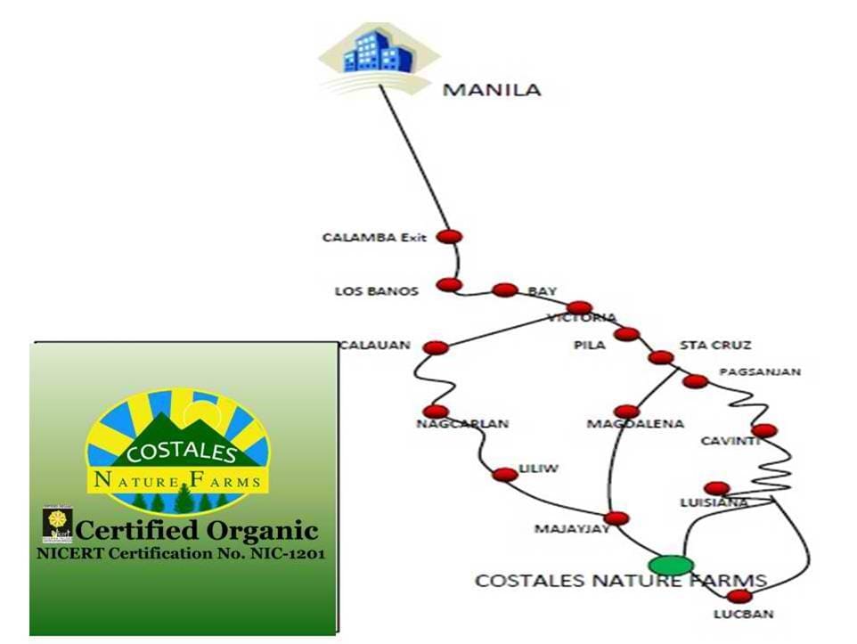 Fungus Diseases in Banana Vanished