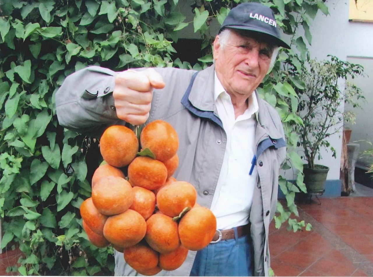 Tropical Fruits on soil with salt damage