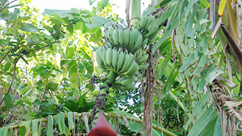 30 days after the typhoon