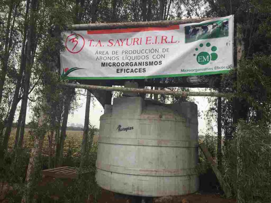 BIOL (homemade EM liquid fertilizer)