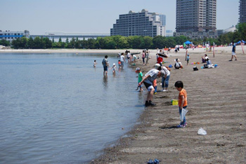 Clamming scene at Odaiba