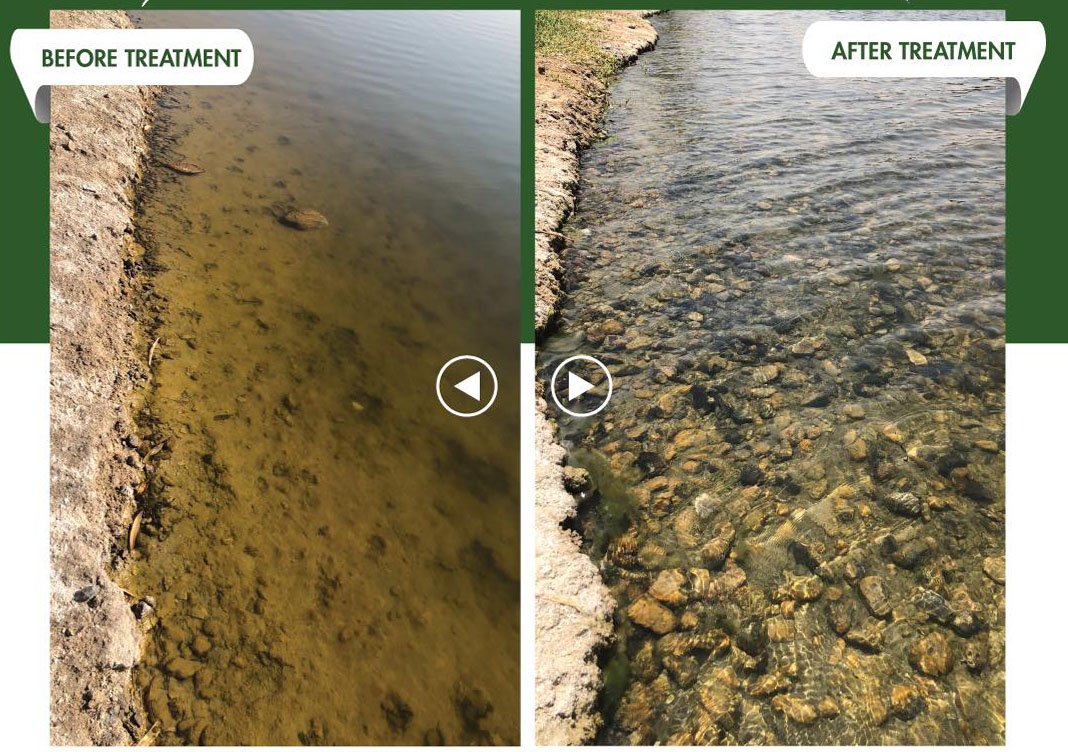 Case Study: Clean and clear water around the housing complex