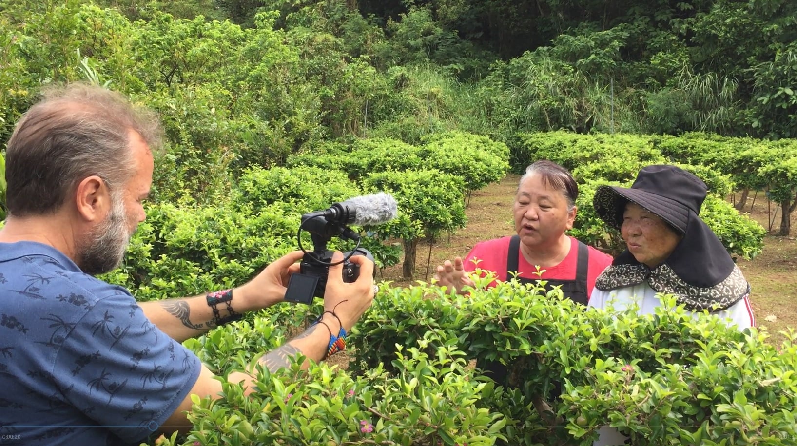 Film on Microorganisms "Little Big Family" Released