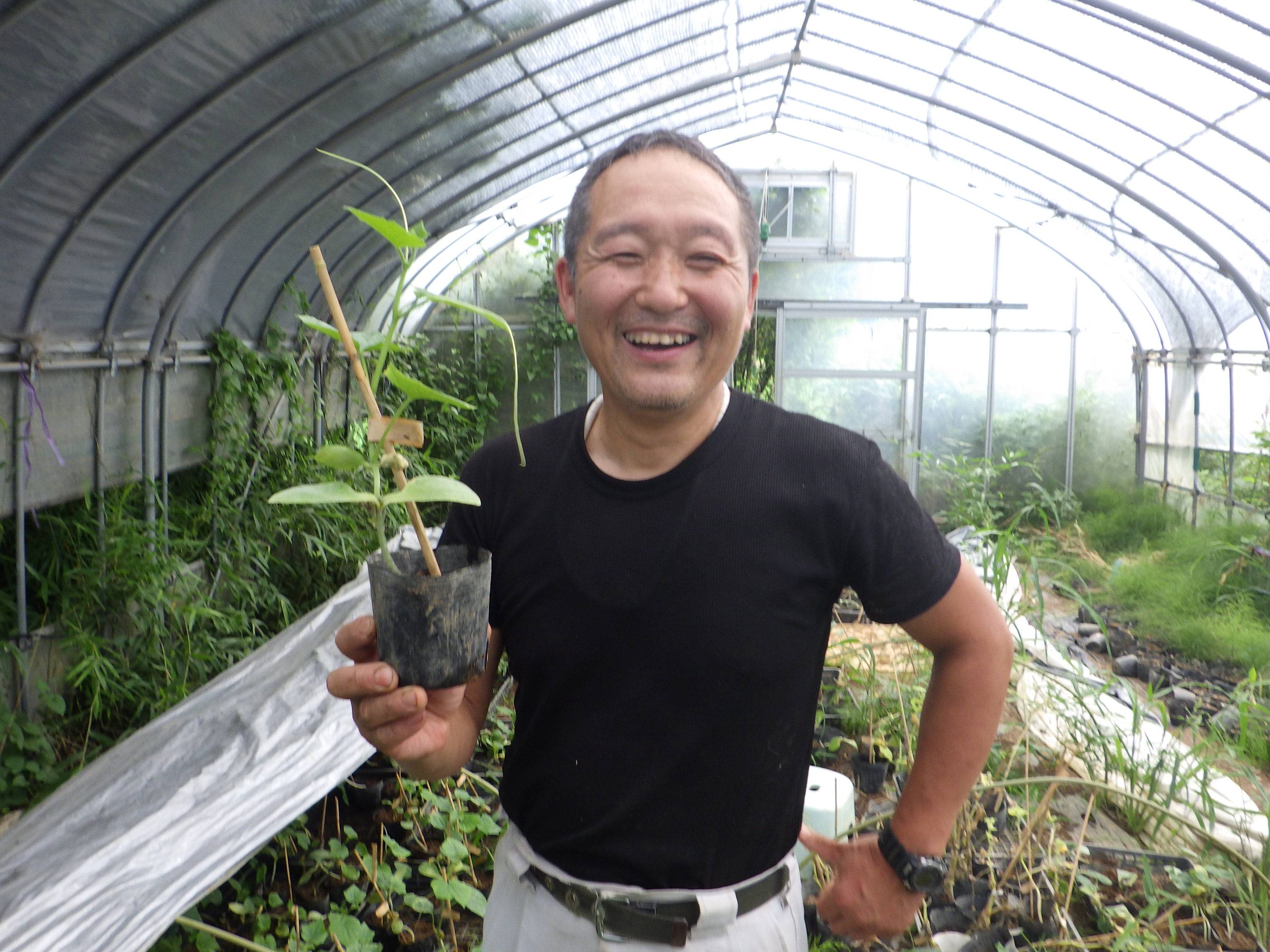 Case Study: A Cucumber Farm Quickly Recovered After the Nuclear Plant Accident in Fukushima