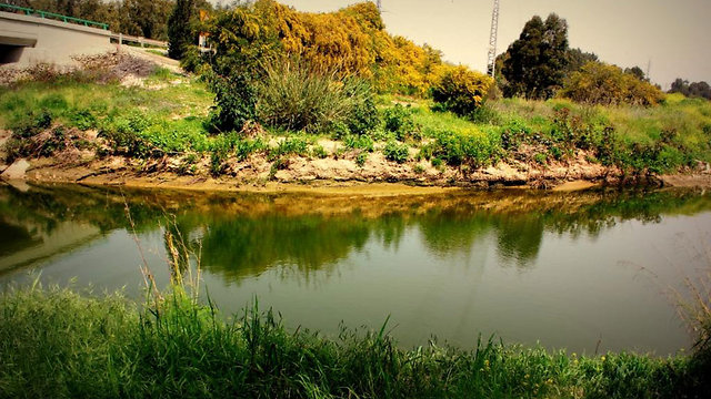 River and Landscape Restoration Project in Israel