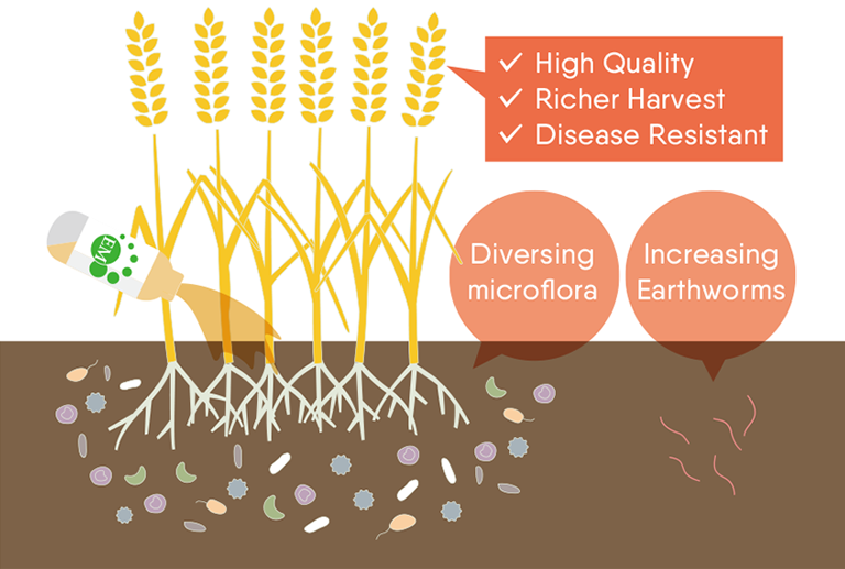 How EM works in soil