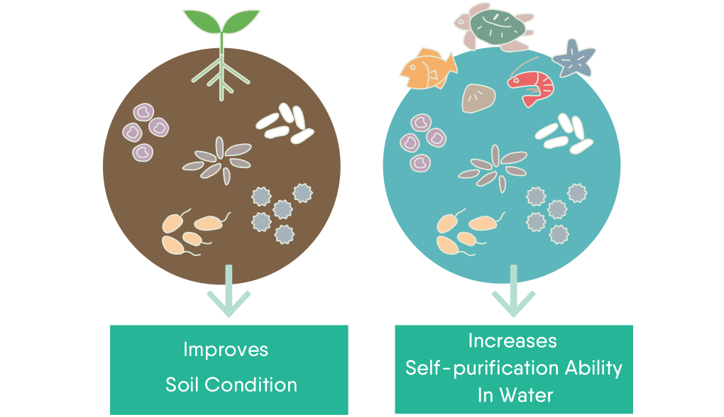 Enhance Diversity of Microorganisms