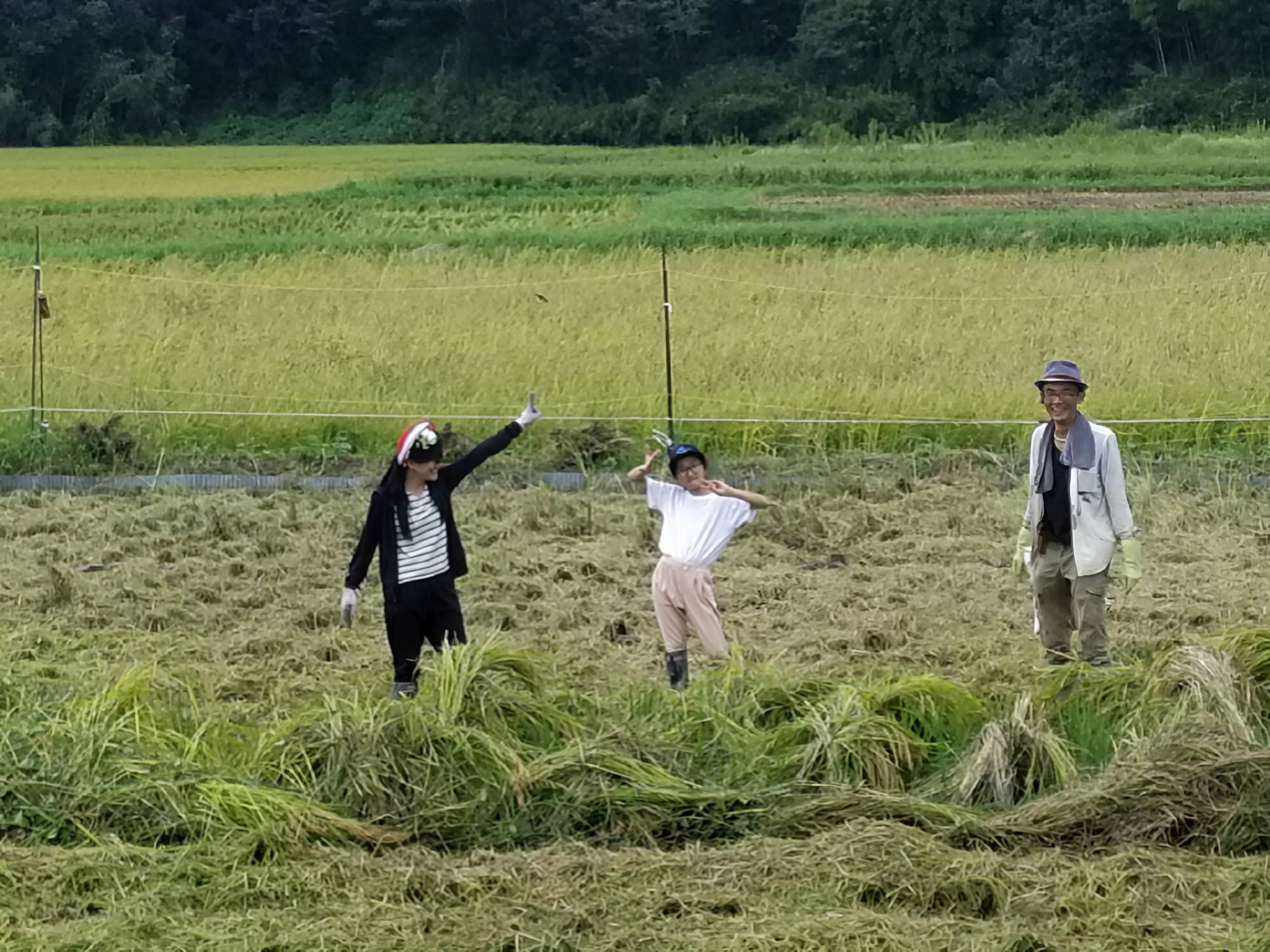 Growing Food, Community, and Sustainability Across Japan